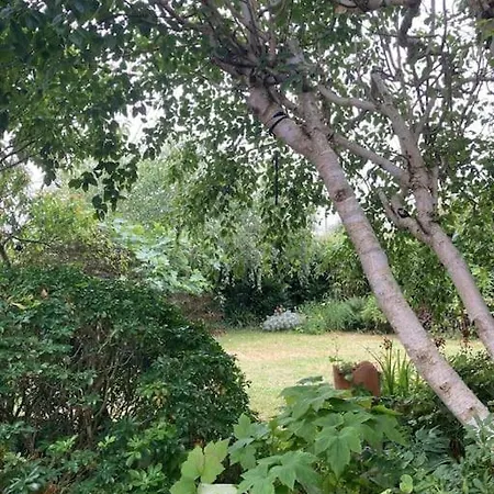 Hébergement de vacances La Maison Rose - Avec Grand Jardin Clos à 300m De La Hauteville-sur-Mer
