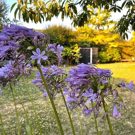 Hébergement de vacances La Maison Rose - Avec Grand Jardin Clos à 300m De La *