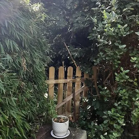 La Maison Rose - Avec Grand Jardin Clos à 300m De La Casa de Férias Hauteville-sur-Mer