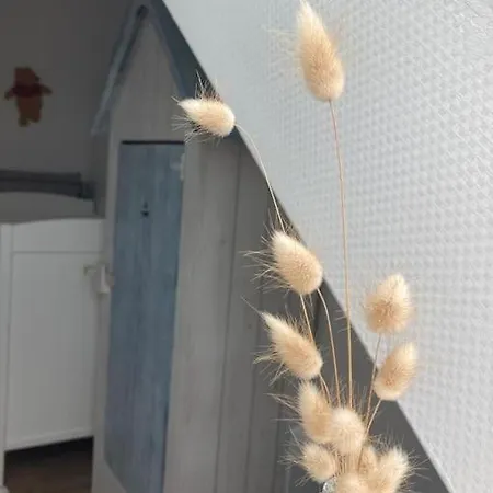 Casa de Férias La Maison Rose - Avec Grand Jardin Clos à 300m De La Hauteville-sur-Mer