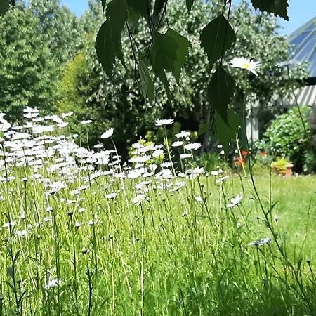 Casa de Férias La Maison Rose - Avec Grand Jardin Clos à 300m De La Hauteville-sur-Mer
