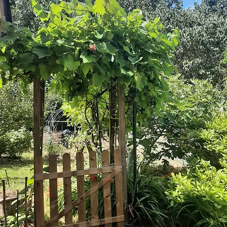 בית נופש La Maison Rose - Avec Grand Jardin Clos A 300m De La