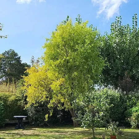 La Maison Rose - Avec Grand Jardin Clos à 300m De La * Hauteville-sur-Mer