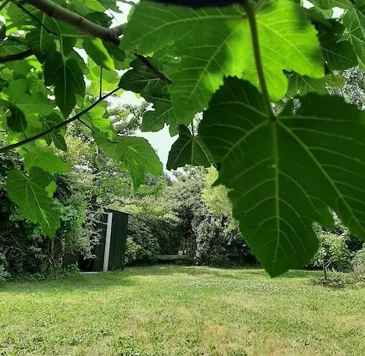 Dom wakacyjny La Maison Rose - Avec Grand Jardin Clos A 300m De La Hauteville-sur-Mer