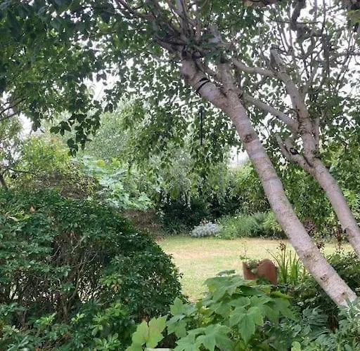 Dom wakacyjny La Maison Rose - Avec Grand Jardin Clos A 300m De La Hauteville-sur-Mer