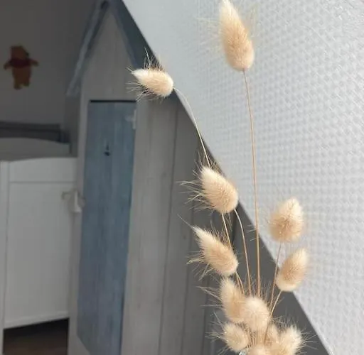 Dom wakacyjny La Maison Rose - Avec Grand Jardin Clos A 300m De La Hauteville-sur-Mer