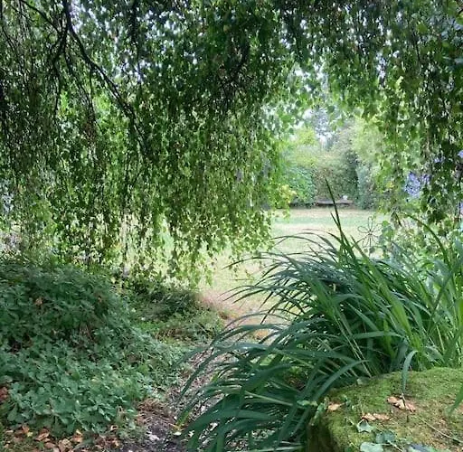 La Maison Rose - Avec Grand Jardin Clos A 300m De La