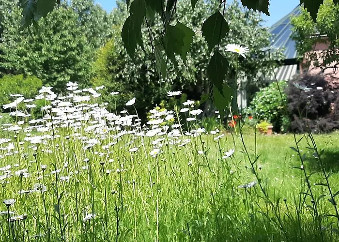 Dom wakacyjny La Maison Rose - Avec Grand Jardin Clos A 300m De La Hauteville-sur-Mer