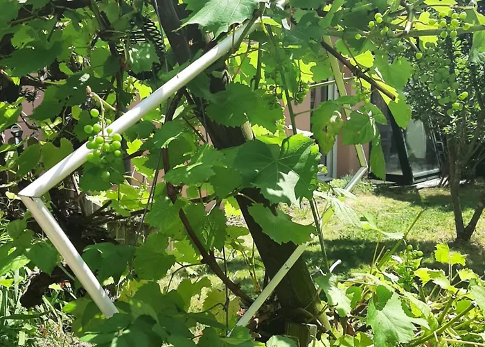 La Maison Rose - Avec Grand Jardin Clos A 300m De La *