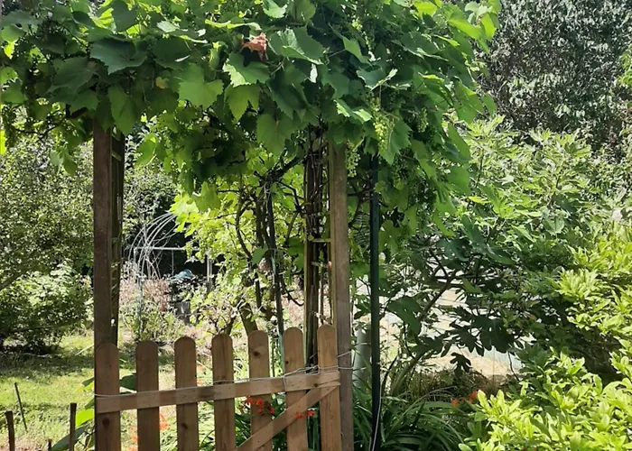 Dom wakacyjny La Maison Rose - Avec Grand Jardin Clos A 300m De La